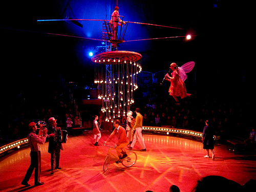Le cirque des nouveaux nez